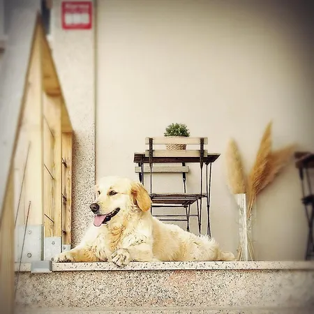 Casa Angel 1982 * Oia